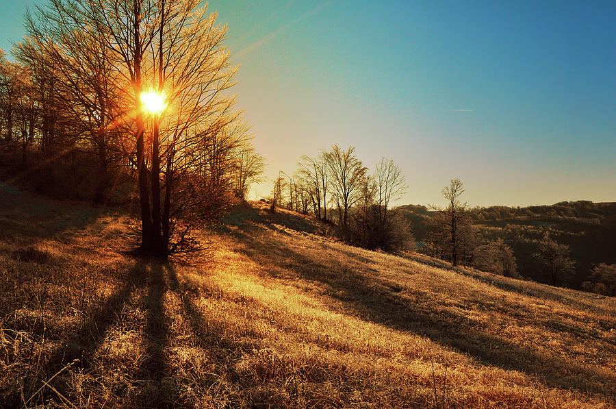 Sunset Shadows Photograph by Supertramp One - Fine Art America