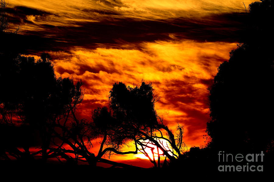 Sunset Silhouette 2 Photograph by Craig Corwin
