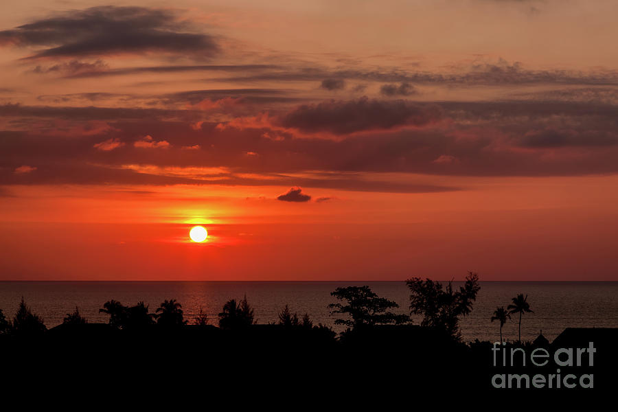 Sunset Photograph - Sunset Silhouette by Adrian Evans