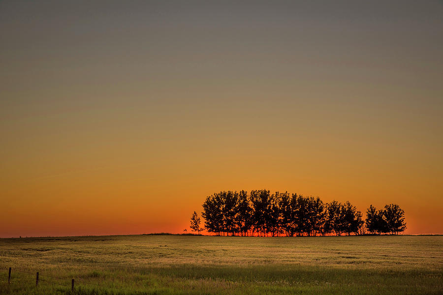 Sunset Silhouette Photograph by Bill Cubitt