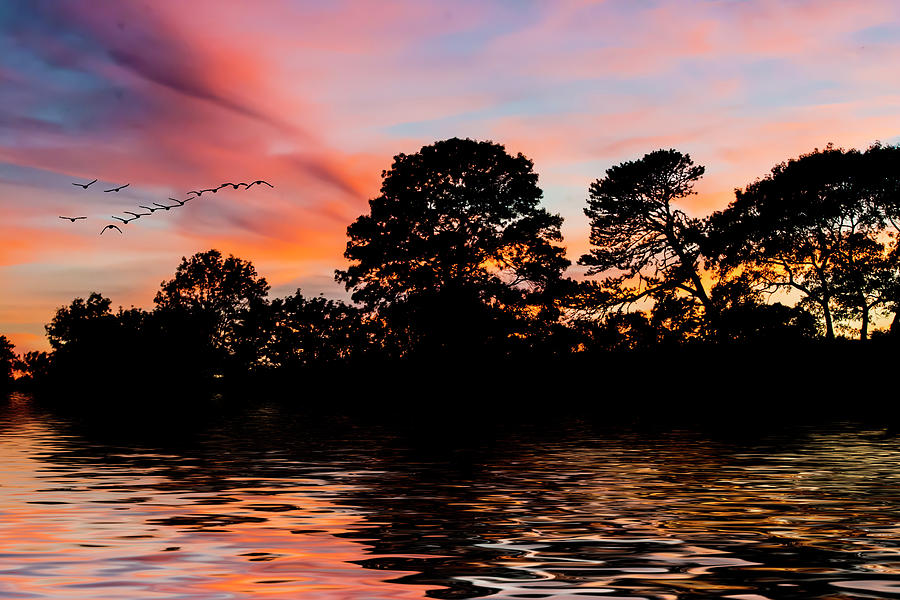 Sunset Silhouette Photograph by Cathy Kovarik