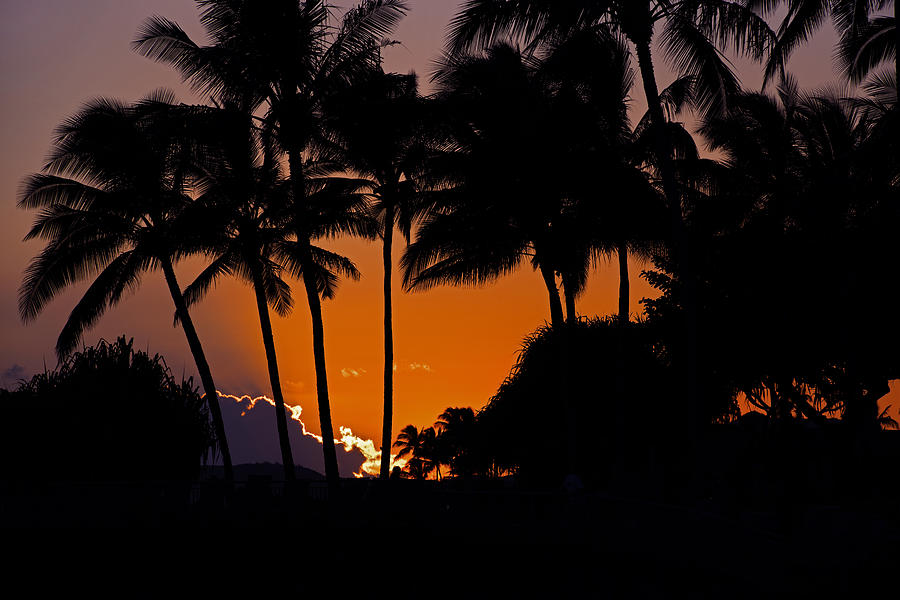 Sunset Silhouette Photograph by David Lunde