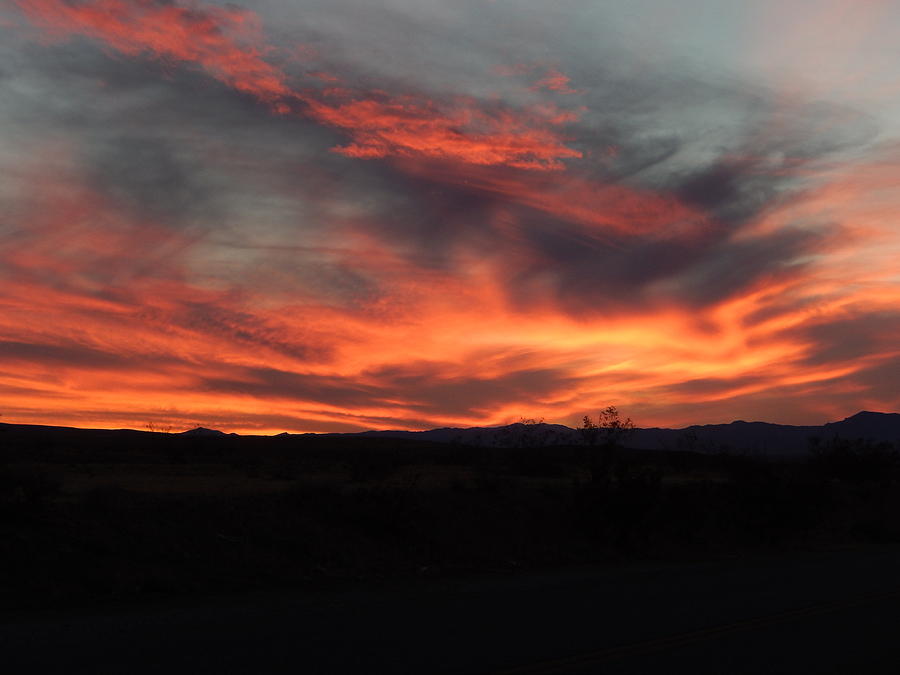 Sunset Silhouette Photograph by Gerry Bork - Fine Art America