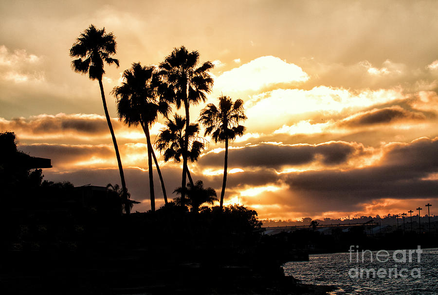 Sunset silhouette in San Diego  Photograph by Ruth Jolly