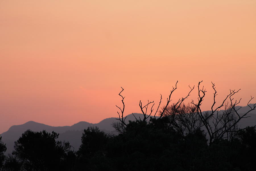 Sunset Silhouette Photograph