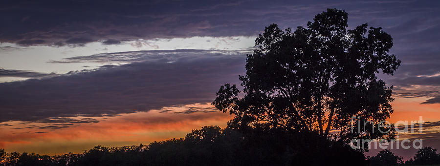 Sunset Silhouette  Photograph by Joann Long