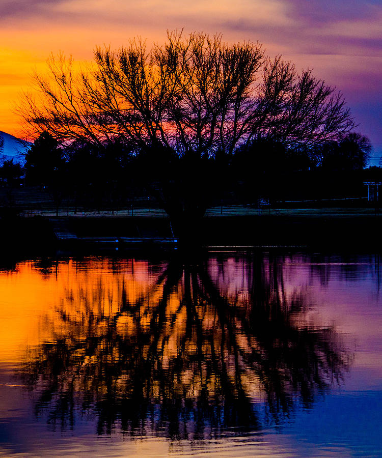 Sunset Photograph - Sunset Silhouette by Joy McAdams