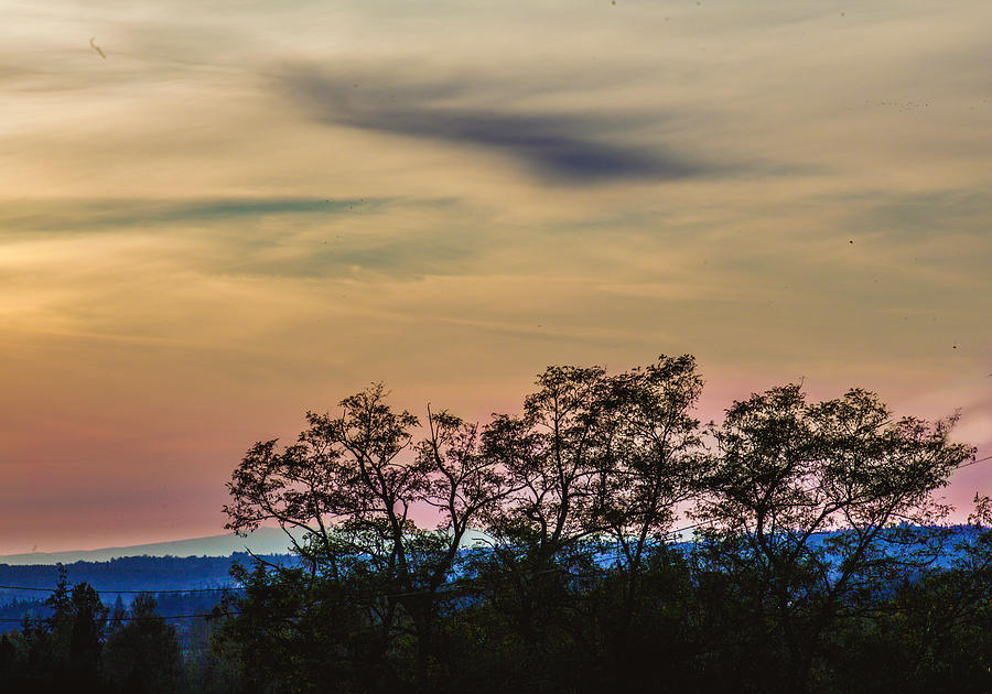 Sunset Silhouette Photograph by Judy Wright Lott