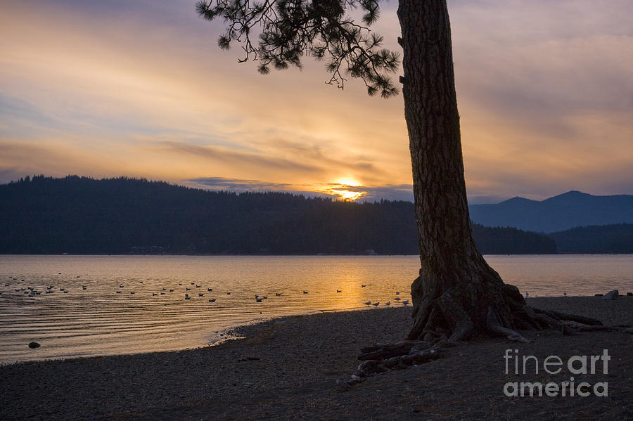Sunset Silhouette Photograph by Idaho Scenic Images Linda Lantzy