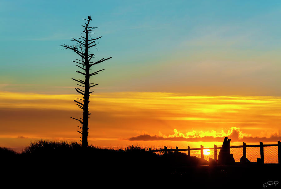 Sunset Silhouetted Snag Photograph by Dee Browning