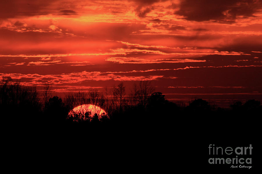 Sunset Silhouettes Forest Fire Art Photograph by Reid Callaway