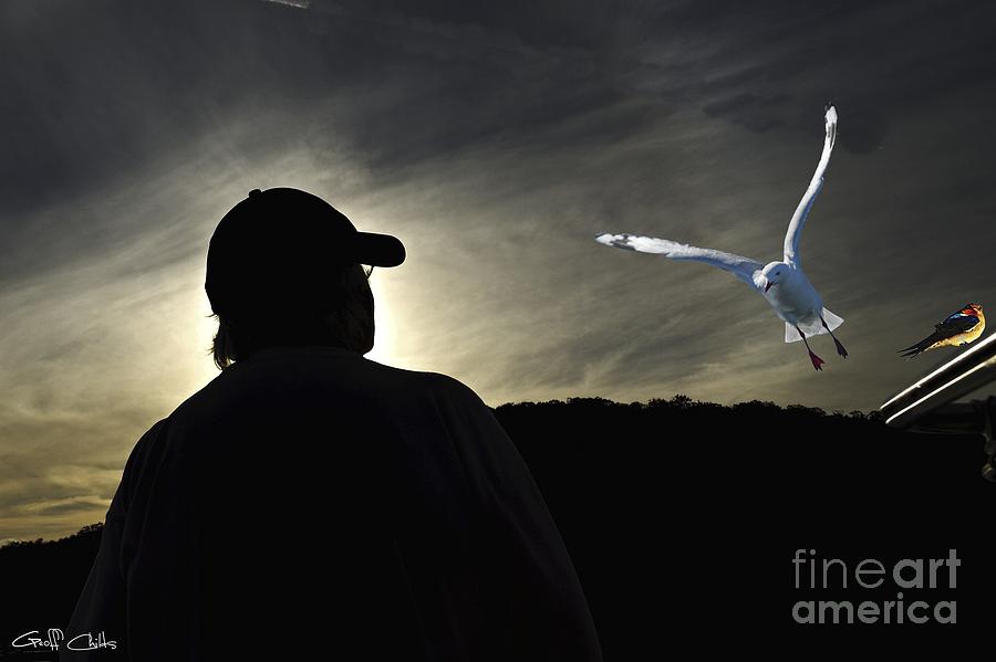 Sunset Sillouette. Original exclusive stock  photo art. Photograph by Geoff Childs