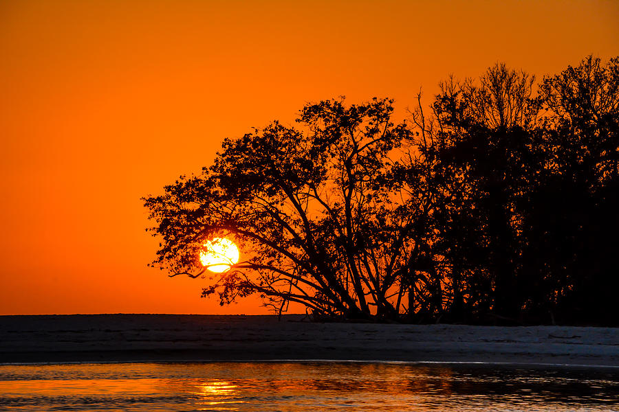 Sunset Sillouette Photograph by Robert McKay Jones