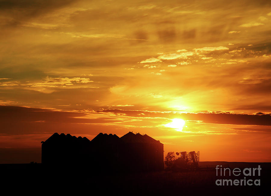 Sunset Silos Photograph by Clare VanderVeen