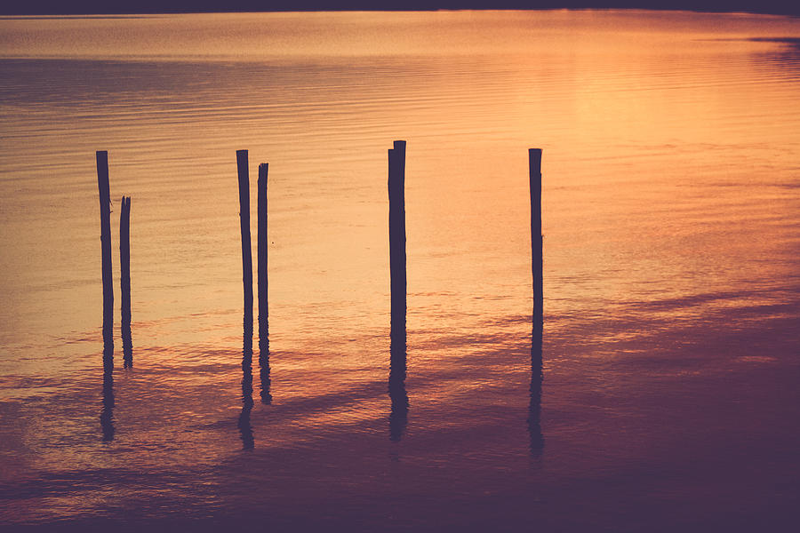 Sunset Photograph - Sunset Silouette by Amber Dopita