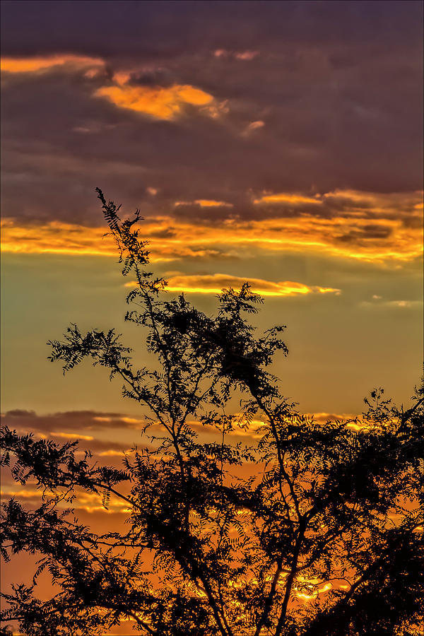 Sunset Sky and Clouds Photograph by Robert Ullmann