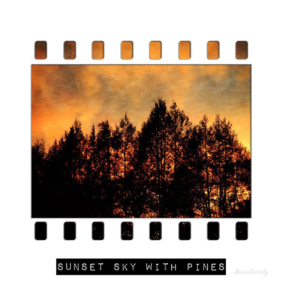 Sunset Sky with Pines Photograph by Denise Beverly