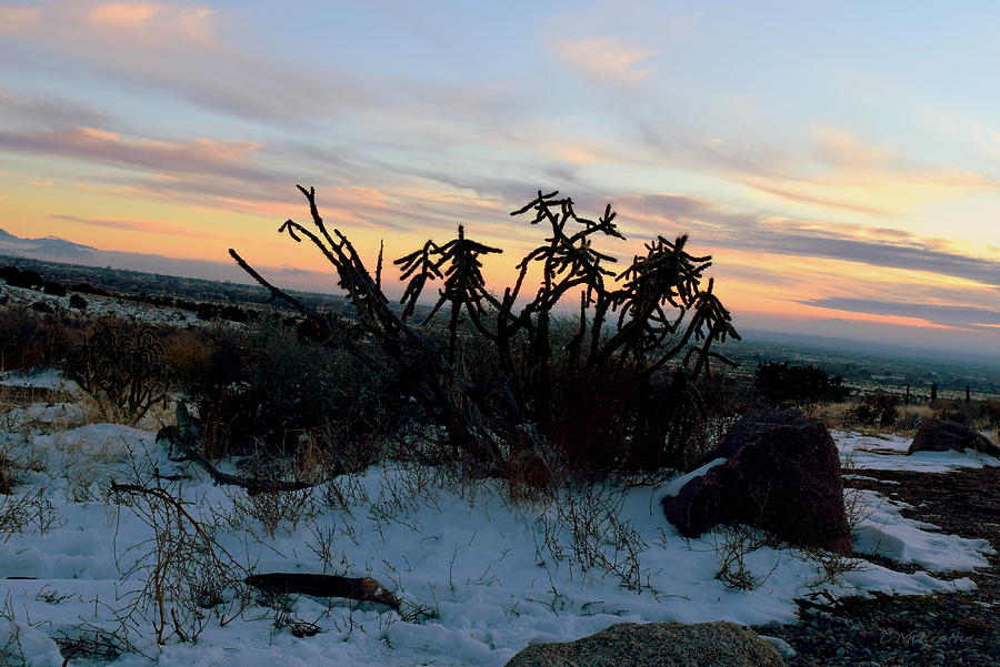 Sunset Snow In The Desert 1 Photograph