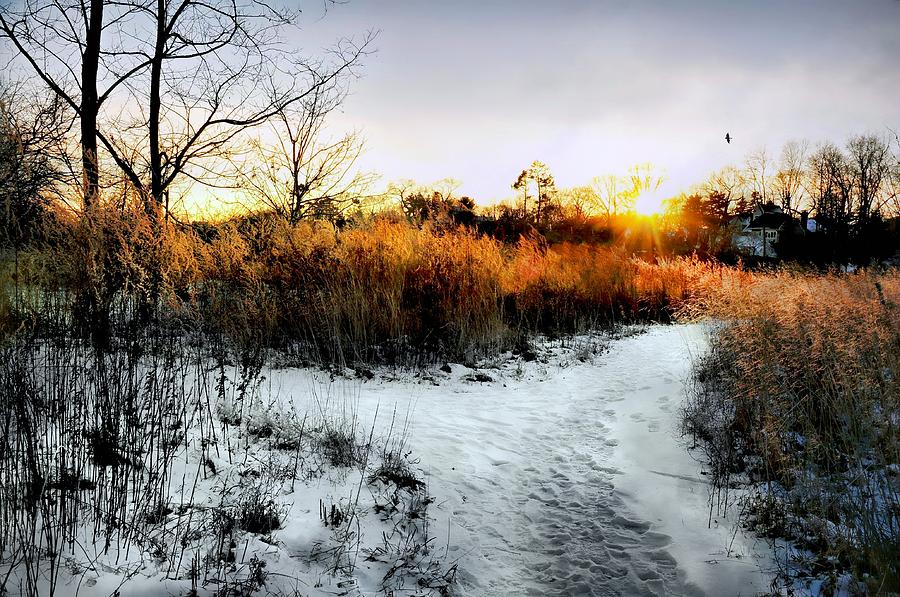 Sunset Snow Steps Photograph by Diana Angstadt