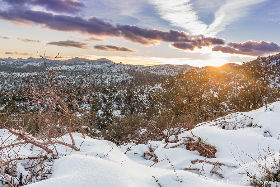 Sunset Snows Photograph by Aaron Burrows
