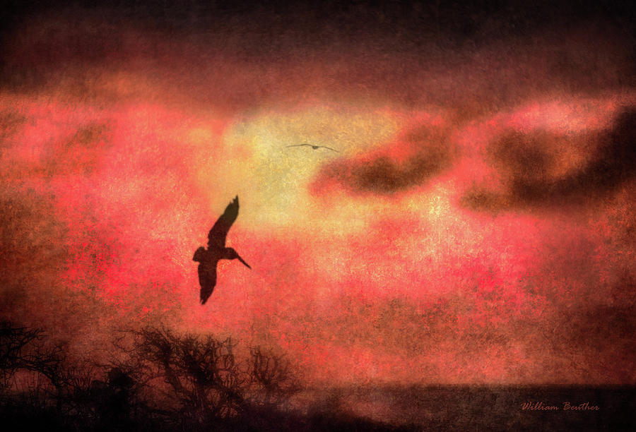 Abstract Photograph - Sunset Soaring II by William Beuther