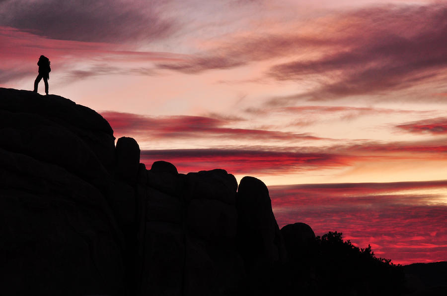 Joshua Tree National Park Photograph - Sunset Solitude by Sandy Fisher