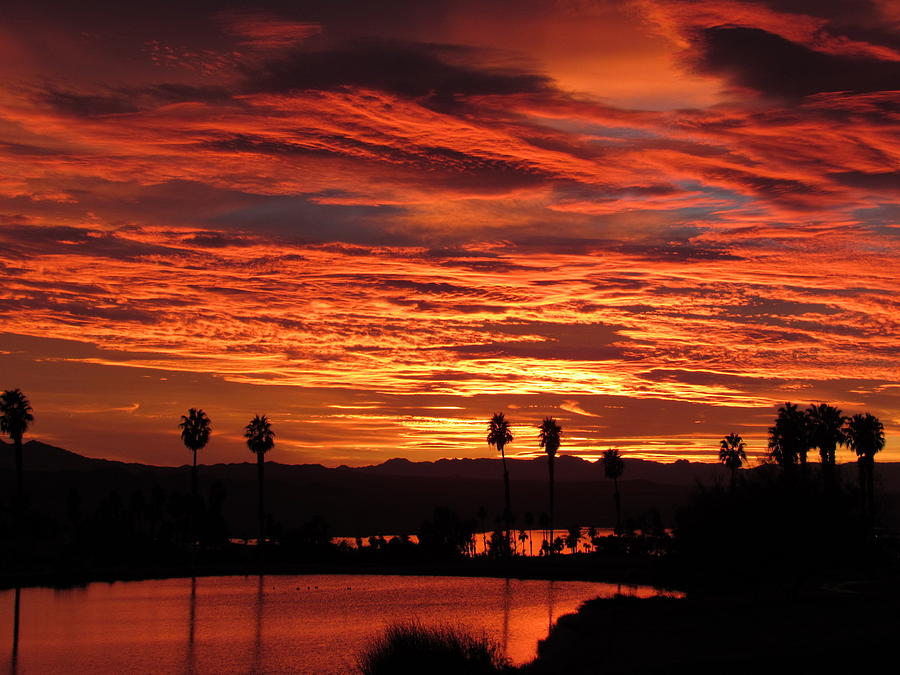 Sunset Splendor of Arizona Photograph by Adrienne Wilson