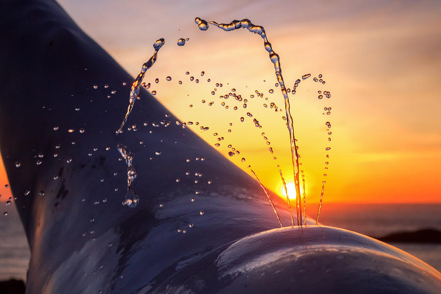 Sunset Spout 0017 Photograph by Kristina Rinell