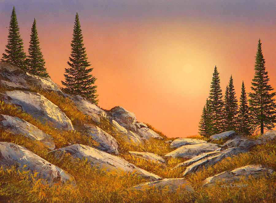 Sunset Spruces Painting by Frank Wilson