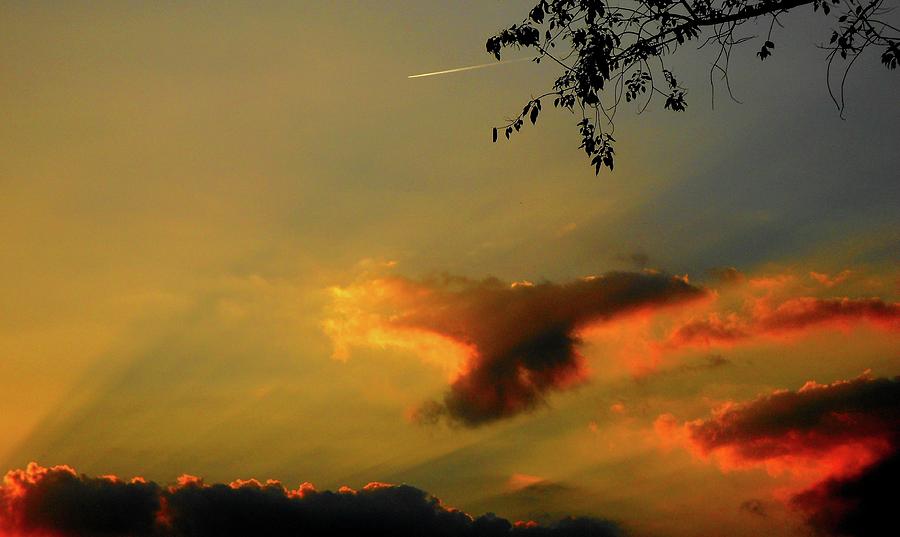 Sunset Streak Photograph by Linda Stern