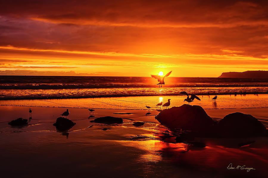San Diego Photograph - Sunset Surprise by Dan McGeorge