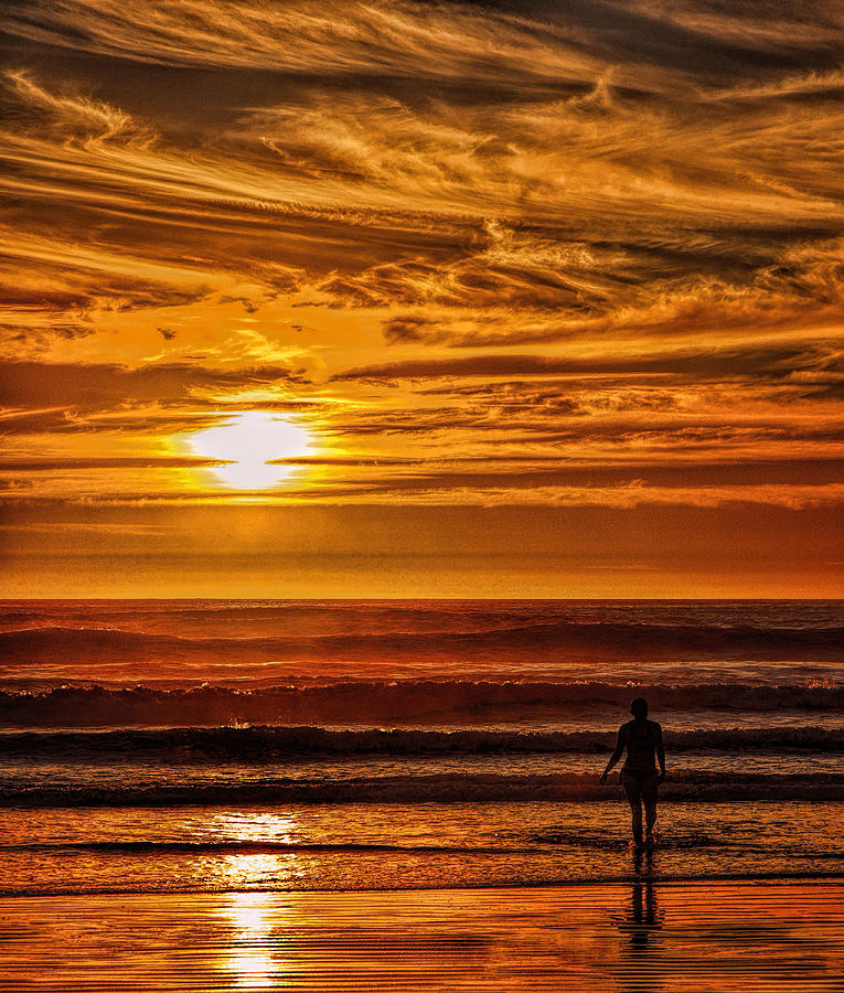 Sunset Swim Photograph by Diana Powell