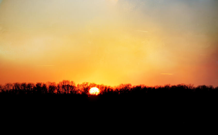 Sunset Photograph - Sunset Symphony by Theresa Campbell