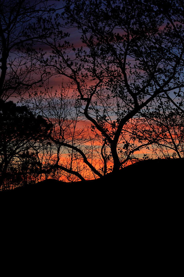 Sunset Photograph by Tammy Schneider