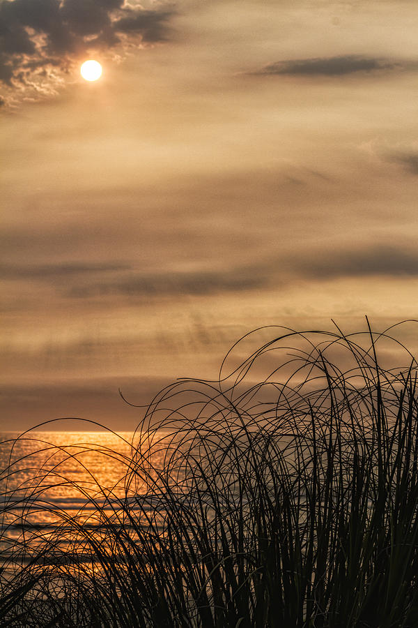 Sunset Photograph - Sunset Through the Seagrass by Lindley Johnson