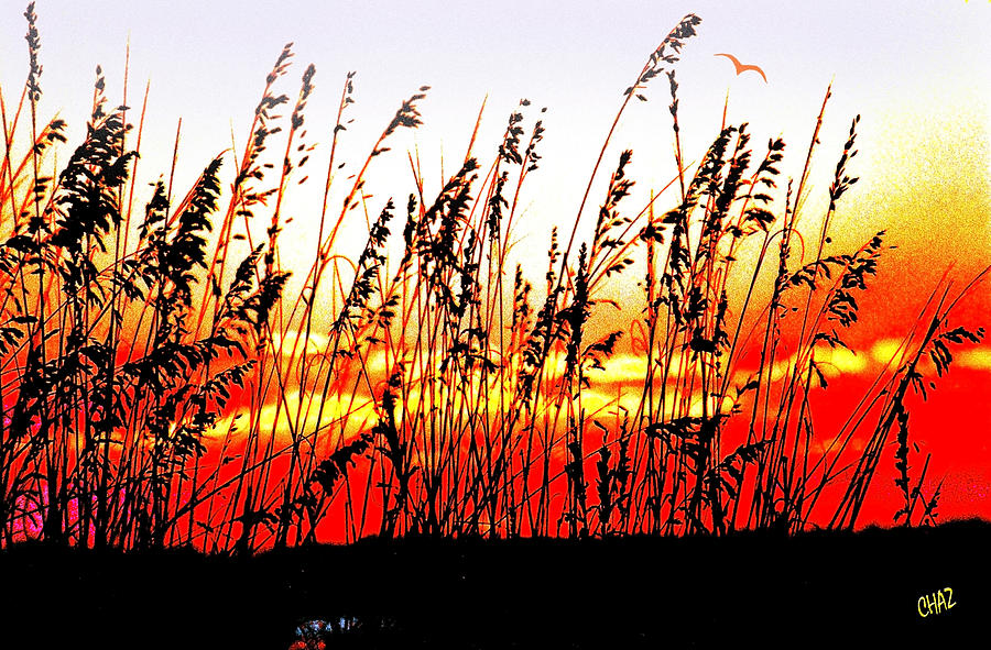 Sunset Through the Tall Grass Painting by CHAZ Daugherty