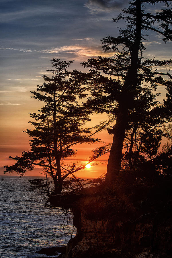Sunset through the Trees by John Kiss Sunset through the Trees by John Kiss