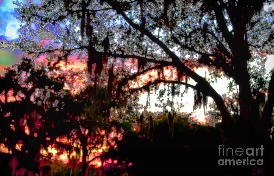 Sunset through treelace Photograph by Priscilla Batzell Expressionist Art Studio Gallery