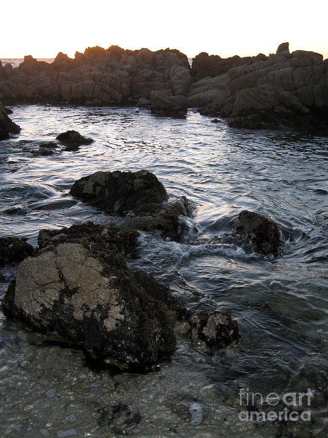 Sunset Tide Photograph