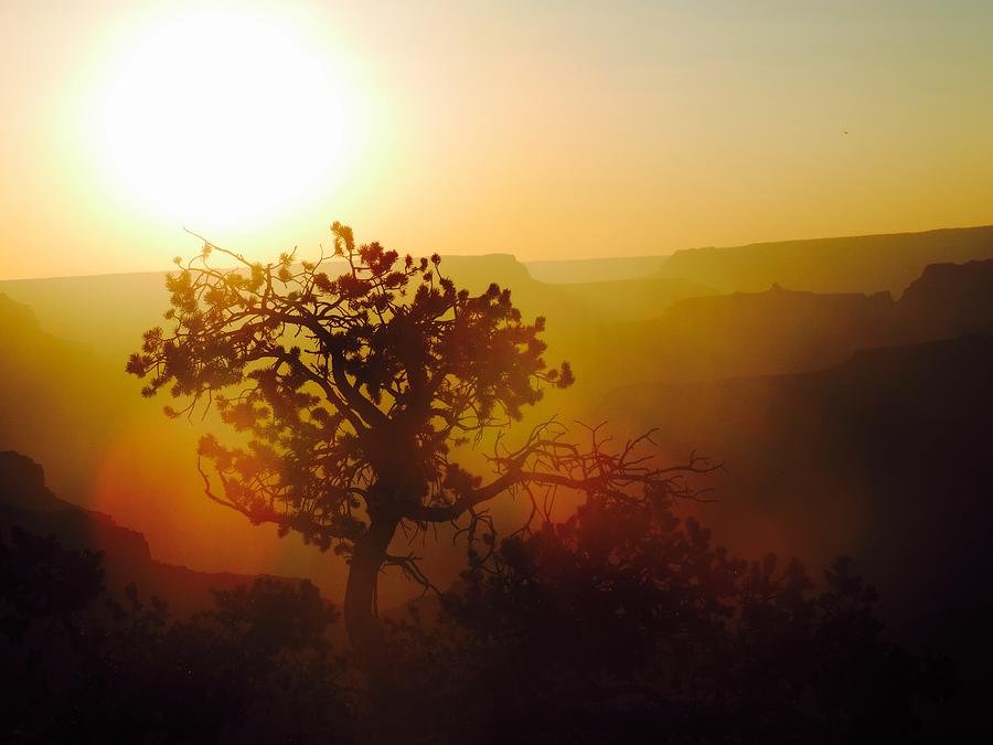 Grand Canyon National Park Photograph - Sunset by Tiffany Marchbanks