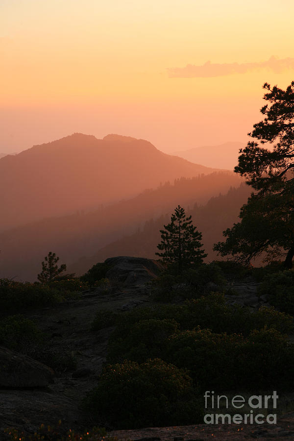 Sequoia National Park Photograph - Sunset by Timothy Johnson