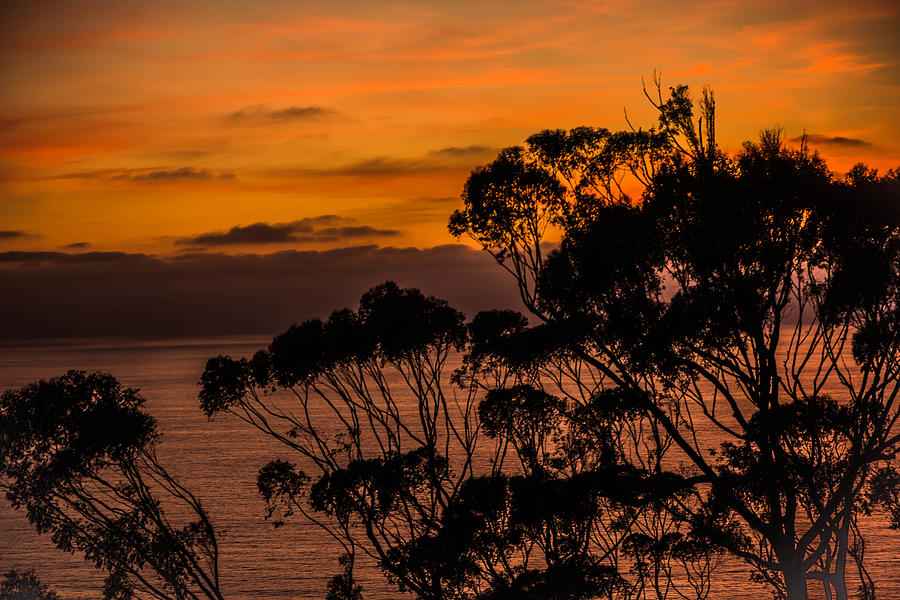 Sunset /Torrey Pines Image 2 Photograph by Bruce Pritchett