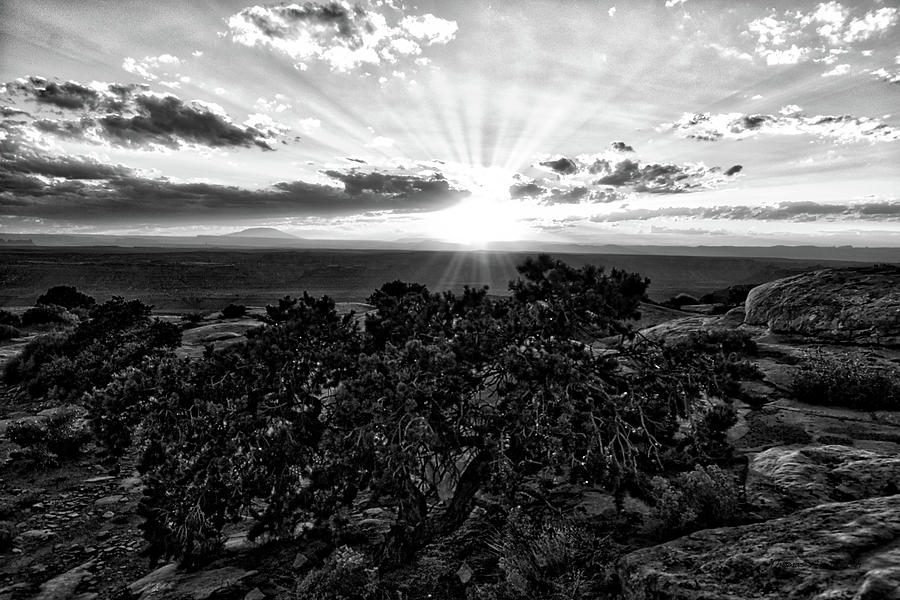 Sunset Tour Valley Of The Gods Utah 01 BW Photograph by Thomas Woolworth