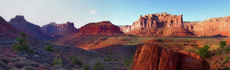 Sunset Tour Valley Of The Gods Utah Pan 03 Photograph by Thomas Woolworth
