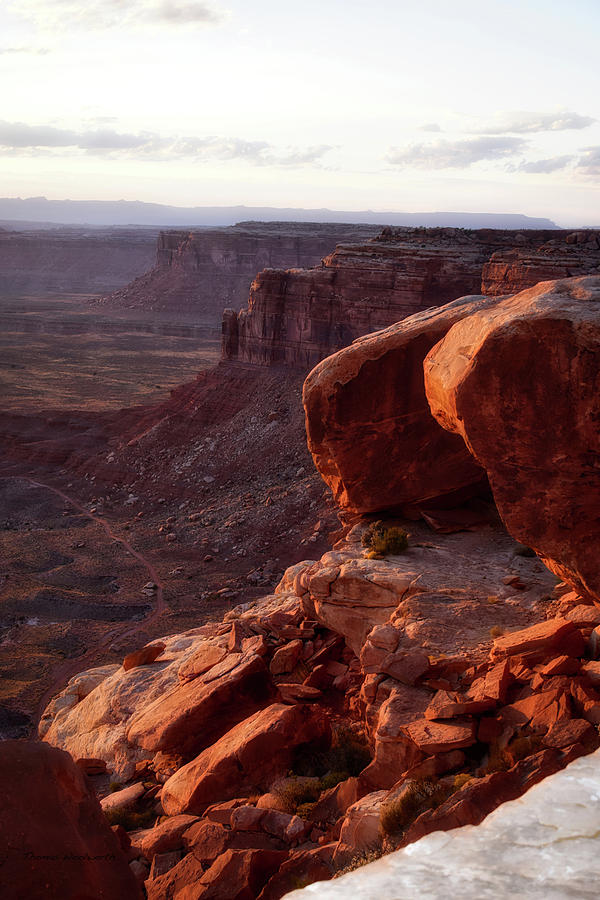 Sunset Tour Valley Of The Gods Utah Vertical 01 Photograph by Thomas Woolworth
