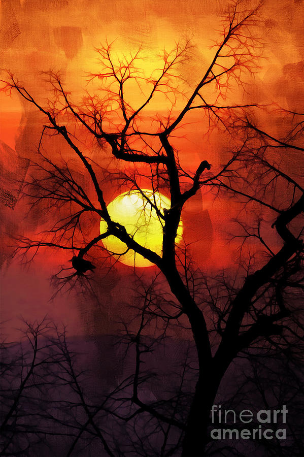 Sunset Painting - Sunset Tree 01 by Gull G