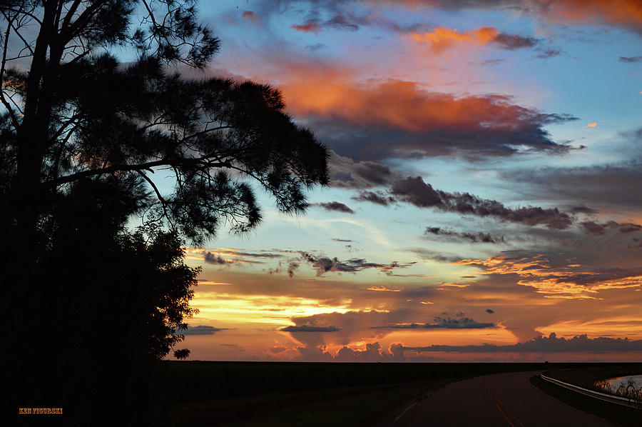 Sunset Tree Florida Photograph by Ken Figurski