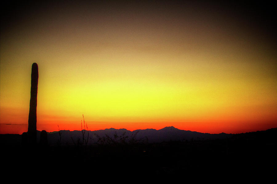 Sunset Tucson Arizona Photograph by Roger Passman