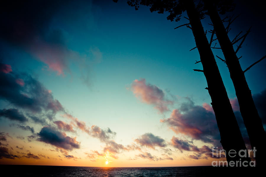 Sunset under sea with tree Jurkalne Photograph by Raimond Klavins