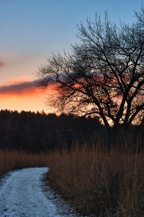 Sunset - UW Arboretum - Madison - Wisconsin Photograph by Steven Ralser